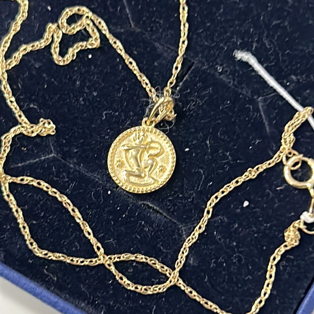 Stone & Strand Zodiac Coin Pendant Necklace Nwot — image 4 of 8